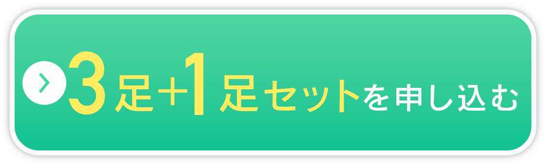 3足+1足セットを申し込む