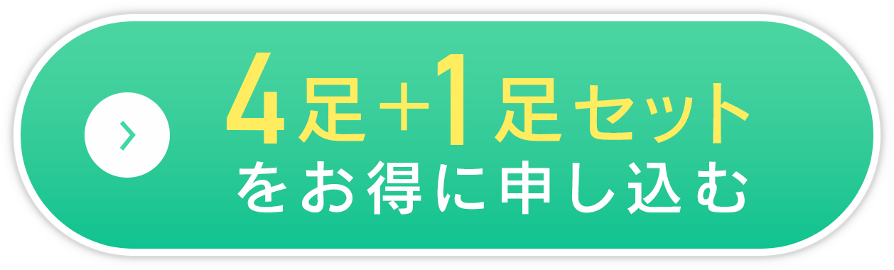 4足+1足セットをお得に申し込む