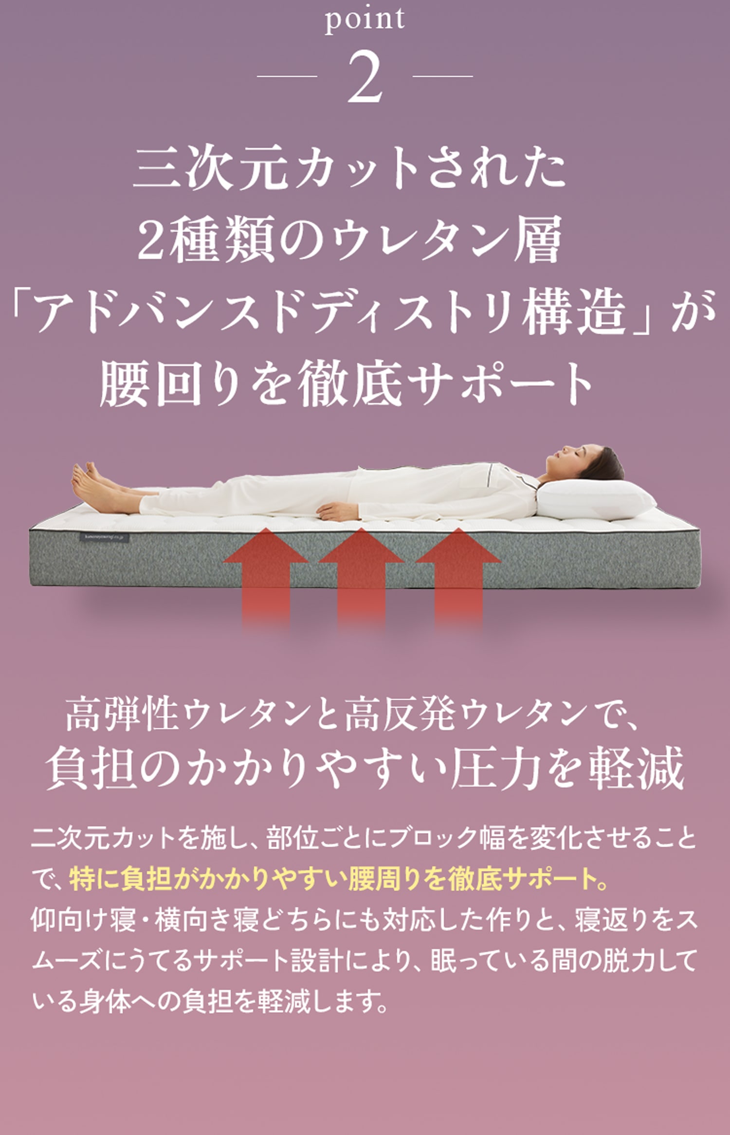 point2 「アドバンスドディストリ構造」が腰回りをサポート