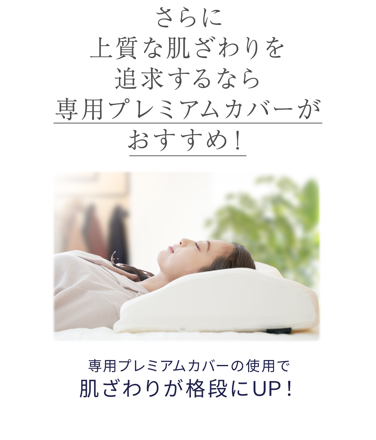 雲のやすらぎプレミアム 健眠枕｜ロッピング公式ショップ 一番星