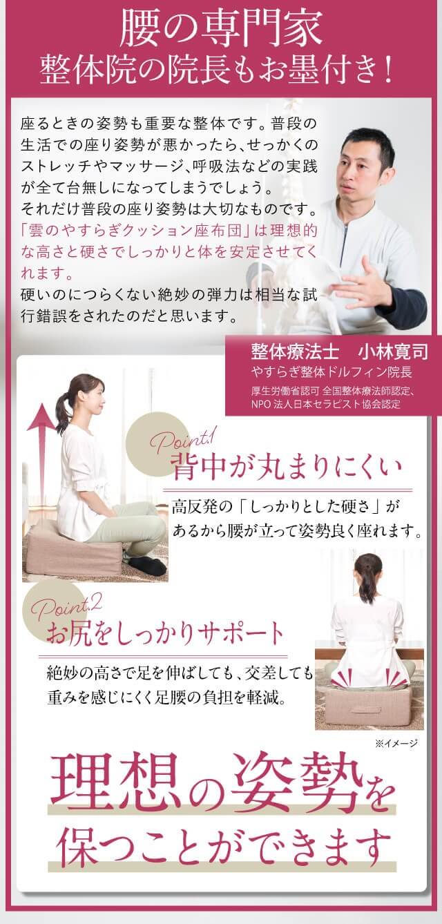 雲のやすらぎプレミアム クッション座布団｜ロッピング公式ショップ 一番星