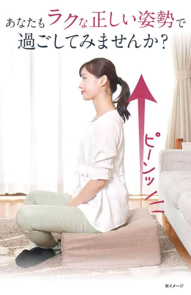 雲のやすらぎプレミアム クッション座布団｜ロッピング公式ショップ 一番星